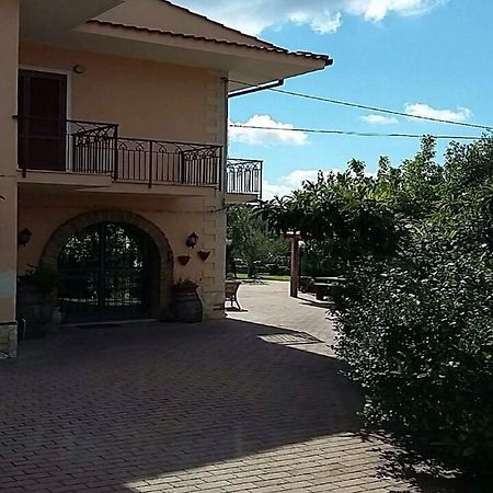 B&B Grandinetti Nocera Terinese Dış mekan fotoğraf
