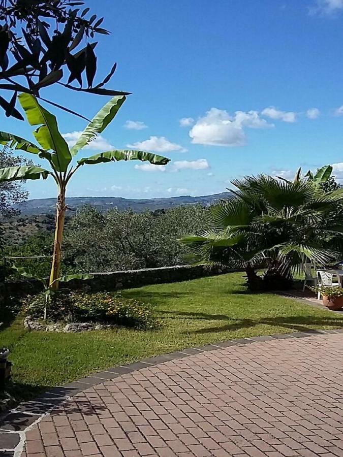 B&B Grandinetti Nocera Terinese Dış mekan fotoğraf